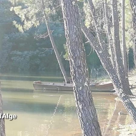 Casa Da Vila Figueiro Dos Vinhos Εξωτερικό φωτογραφία