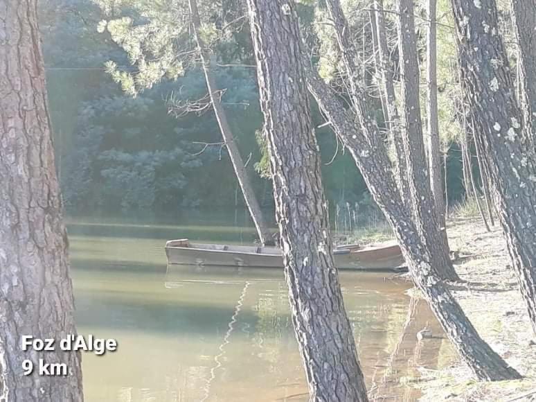 Casa Da Vila Figueiro Dos Vinhos Εξωτερικό φωτογραφία