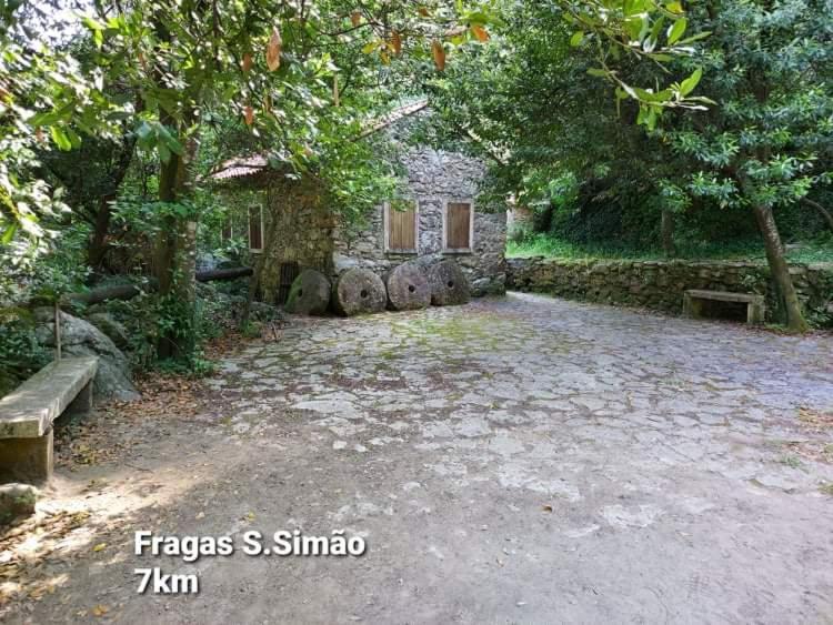 Casa Da Vila Figueiro Dos Vinhos Εξωτερικό φωτογραφία
