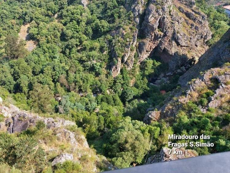 Casa Da Vila Figueiro Dos Vinhos Εξωτερικό φωτογραφία