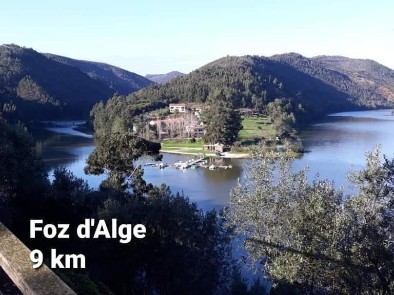 Casa Da Vila Figueiro Dos Vinhos Εξωτερικό φωτογραφία